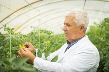 Cover photo for Icar Emphasizes Importance of Field Trials of Gm Crops