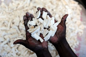 Cover photo for Use Biotechnology to Alleviate Hidden Hunger, Don't Shun It