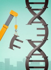 Cover photo for The Gene Hackers a Powerful New Technology Enables Us to Manipulate Our DNA More Easily Than Ever Before.