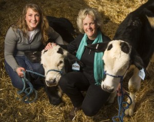 Cover photo for Salmon and Calves Reframe Biotech Debate