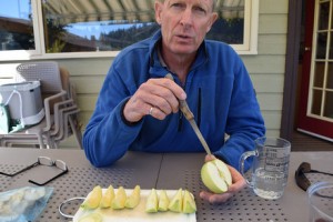 Cover photo for Say Hello to the Apple That Never Browns