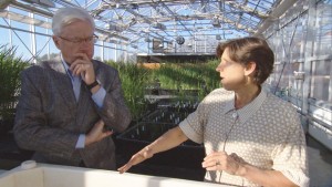 Cover photo for Digging for Seeds of Truth in GMO Debate (Video and Transcript)