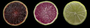 purple, pink and green limes