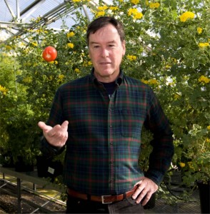 Cover photo for Using Biotech to Breed the Perfect Tomato