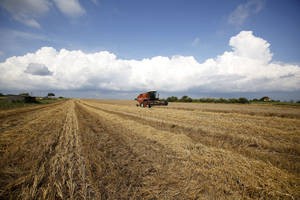 Cover photo for New Approaches Needed to Meet Sustainable Development Challenges