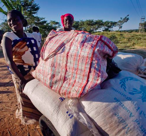 Cover photo for We May Starve, but at Least We’ll Be GMO-Free Unlike the Europeans we copied, Zimbabwe can’t afford such an unscientific ideological luxury.