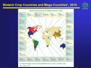 Cover photo for 2015 Global Status of Commercialized Biotech / GM Crops Released