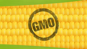 Cover photo for GMO Labels Won't Make Your Food Safer