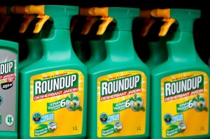 Cover photo for U.N. Experts Find Weed Killer Glyphosate Unlikely to Cause Cancer