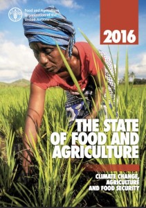 Cover photo for New Report: Biotechnology to Help Mitigate Climate Change