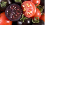 Cover photo for GMO Tomatoes Could Be Returning After 25 Years. Will People Eat Them?
